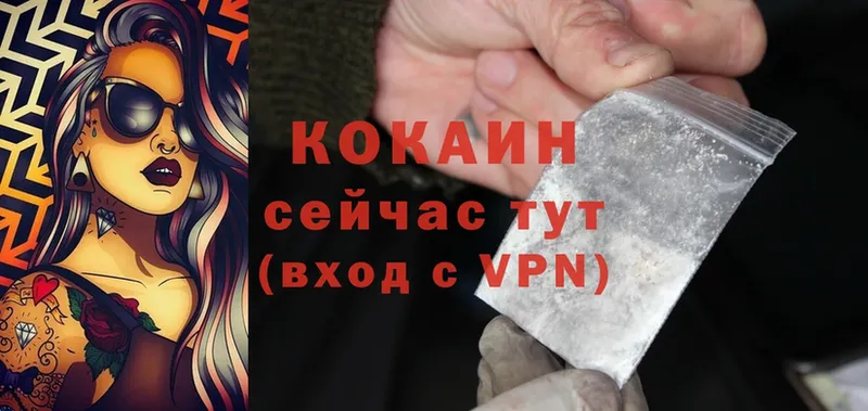 продажа наркотиков  Новоузенск  COCAIN FishScale 