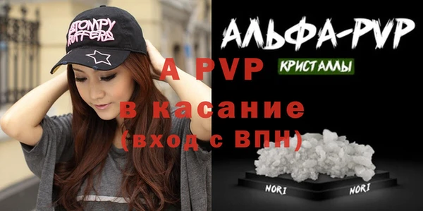 стафф Михайлов