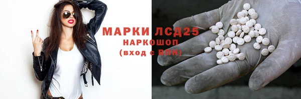 СК Медвежьегорск